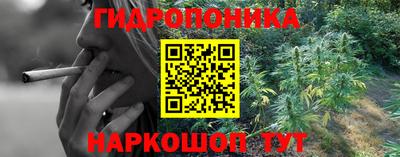 прущий лед Рузаевка