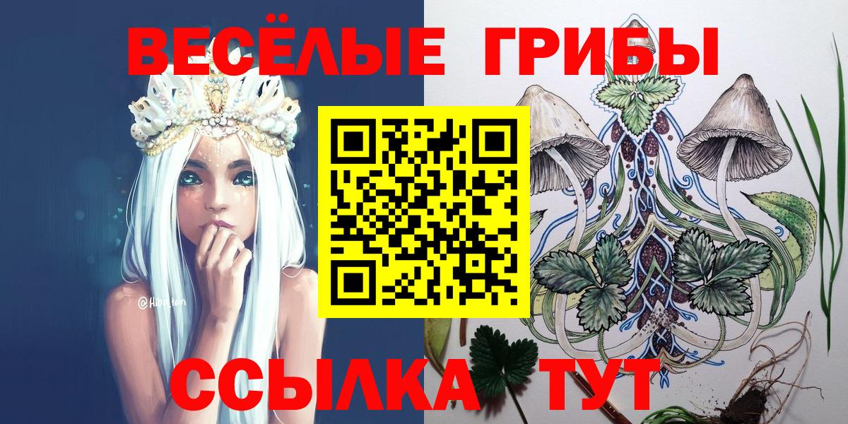 Псилоцибиновые грибы Psilocybe Россия