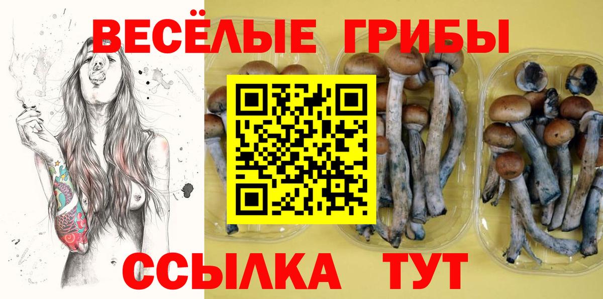Галлюциногенные грибы Psilocybine cubensis  Вход с VPN  Россия 